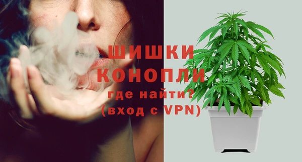 таблы Богданович