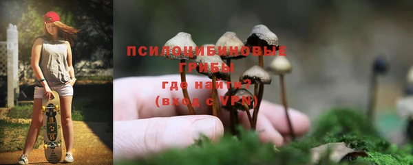 MDMA Богородск