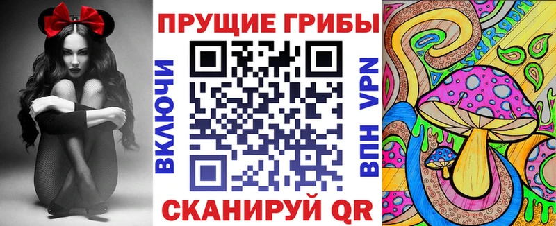 Галлюциногенные грибы мухоморы  купить закладку  Болохово 