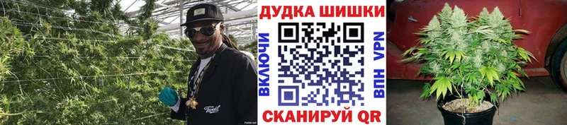 Каннабис Bruce Banner Болохово